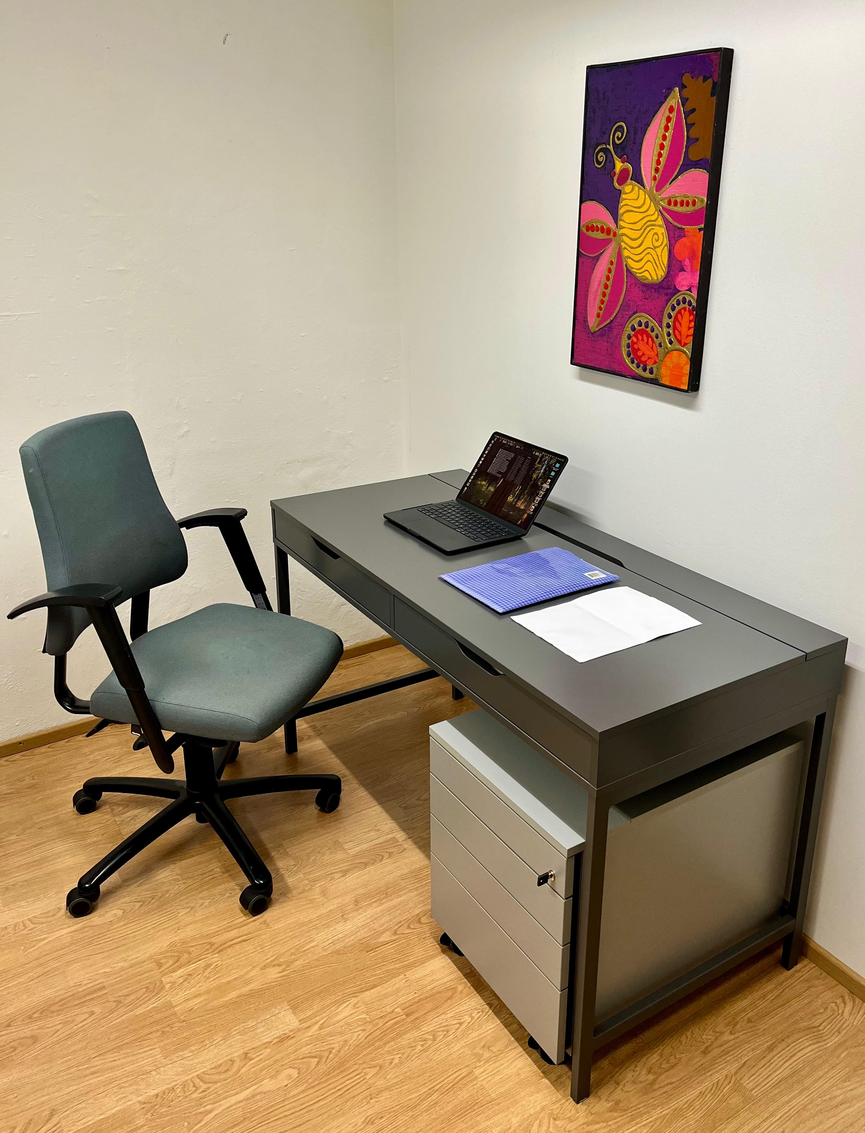 IKEA ALEX Työpöytä